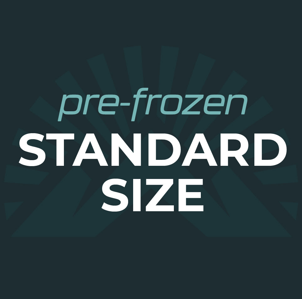 PRE-FROZEN STANDARD SIZE GEL PACK